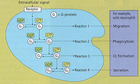 fig2