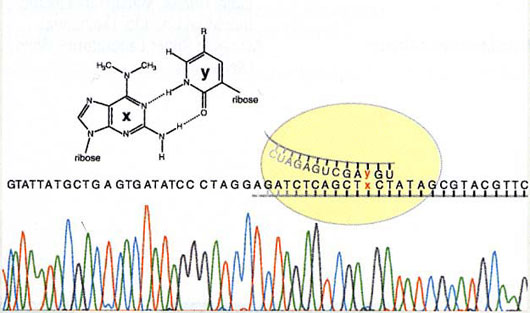 fig4