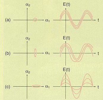 fig3