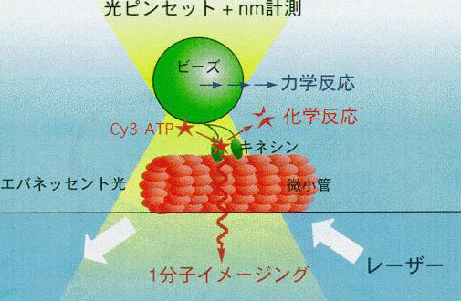 fig2