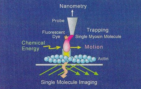 fig4