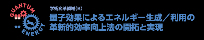 学術変革B