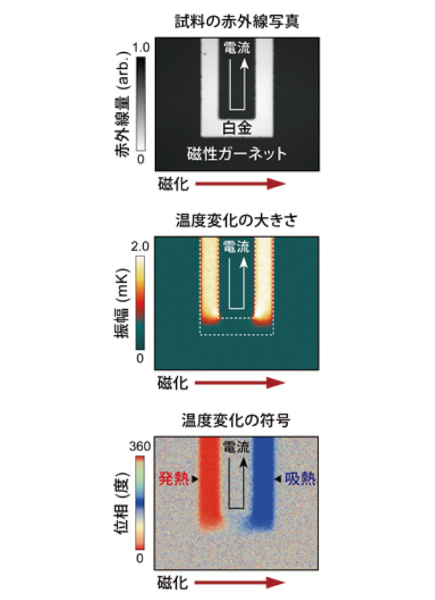 スピンペルチェ効果の温度分布可視化に成功