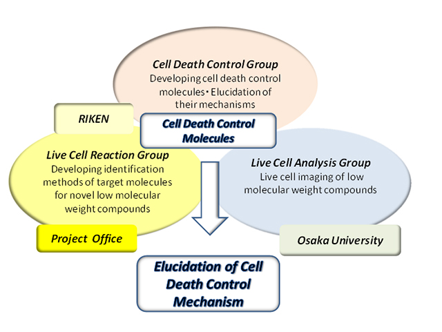 Research Organization