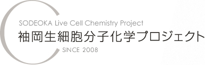 SODEOKA’S LIVE CELL CHEMISTRY PROJECT 袖岡生細胞分子化学プロジェクト SINCE 2008