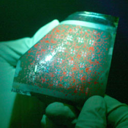 The world’s first sterilizable flexible organic transistor