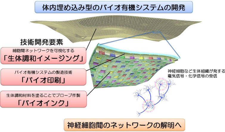 体内埋め込み型のバイオ有機システムの開発