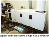 Capillary electrophoresis-time-of-flight mass spectrometer 