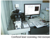 Confocal laser scanning microscope