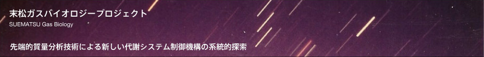 末松ガスバイオロジープロジェクト：SUEMATSU Gas Biology：先端的質量分析技術による新しい代謝システム制御機構の系統的探索