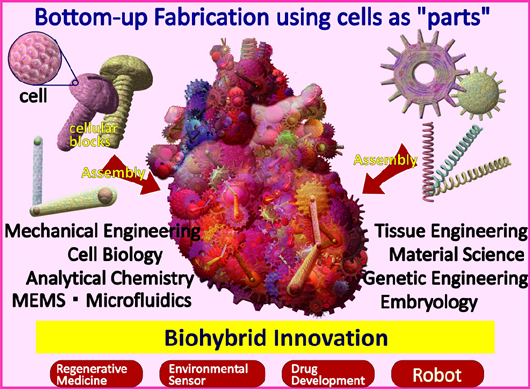 bottom-up fabrication using cells as parts