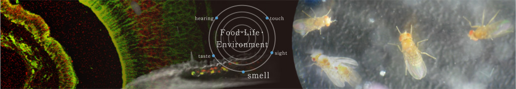 ERATO Touhara Chemosensory Signal Project