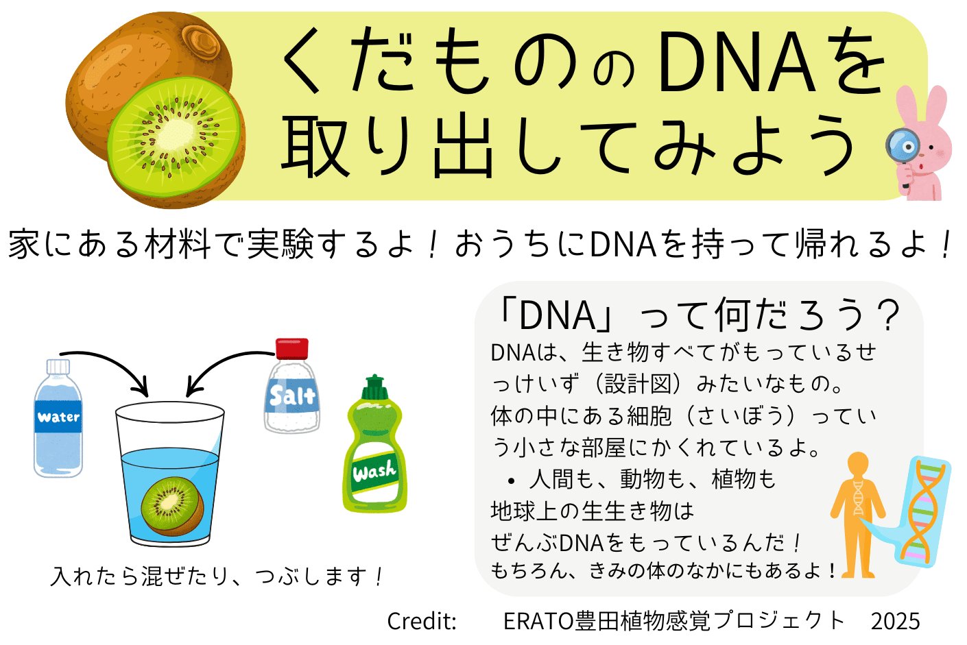 DNA抽出実験の様子