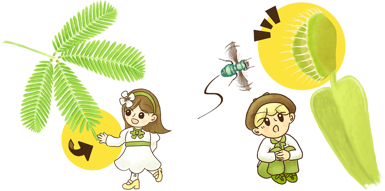 人間の五感