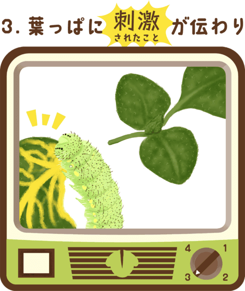 動画でピカッと光ったのは何か、なぜ光ったかを解説する画像