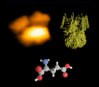 生物物理学グループ