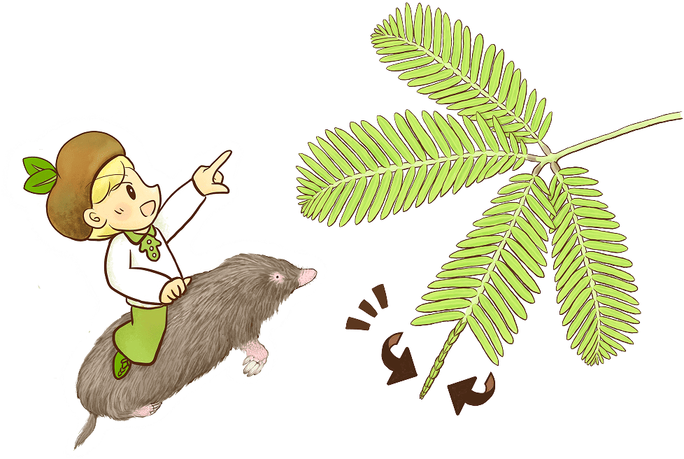 キャラクターと植物のイラスト
