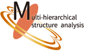 Multi-hierarchical Structure Analysis Group (NIMS)