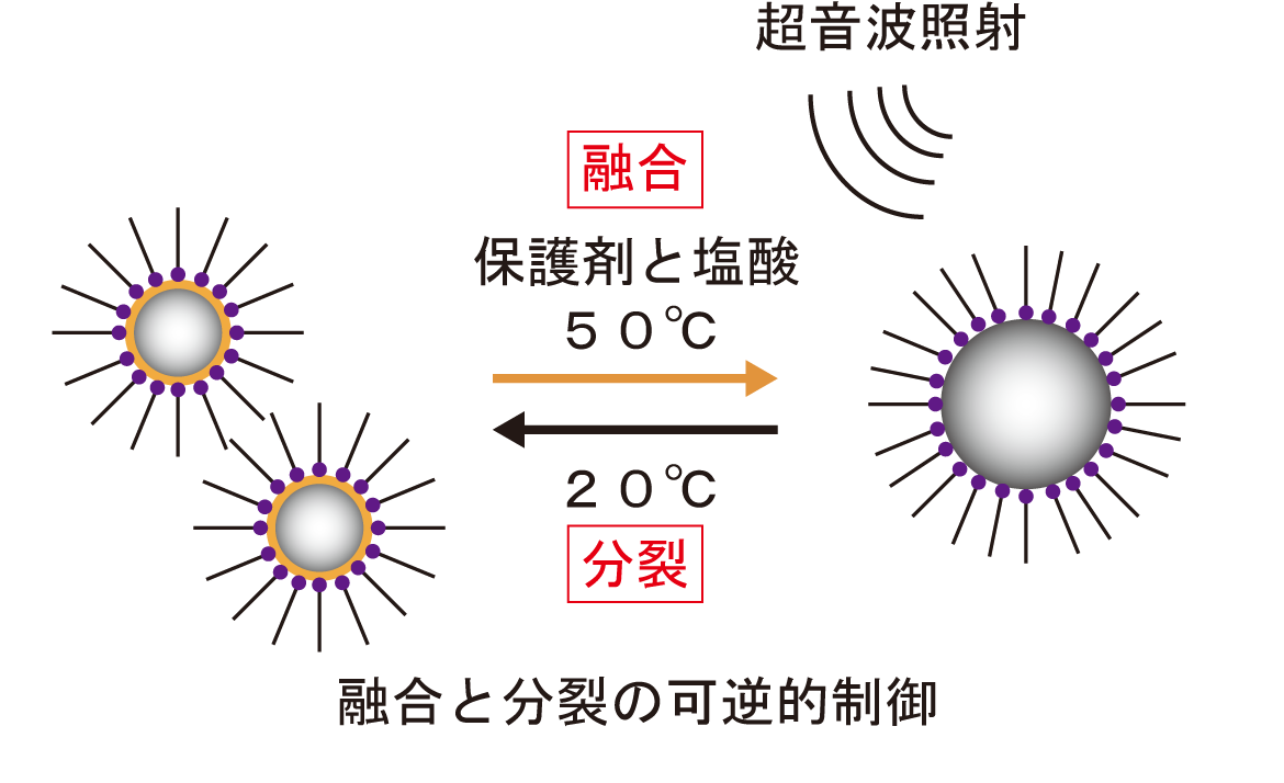 液体金属ナノ粒子のサイズを繰り返し変えられるプロセスを開発～光を操る新材料の開発に期待～