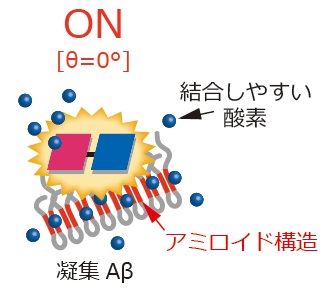 アミロイド構造のみを区別して酸素化する光触媒を開発～触媒反応でアルツハイマー病治療法に新たな道～