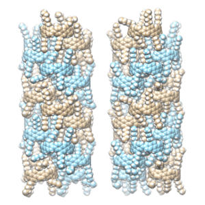 キラル筒状分子の右手と左手 ～二重らせん型集積と有機分子での最強円偏光発光～