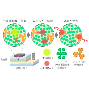 励起子生成効率100％以上を実現するOLEDの原理実証に成功