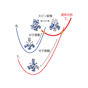 有機分子のスピン変換遷移状態を解明