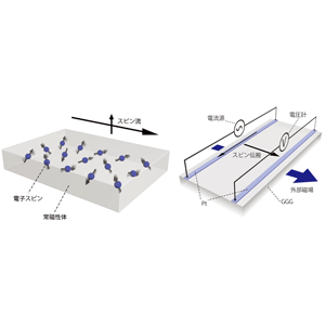 スピン流を高効率で輸送できる新たな材料を発見