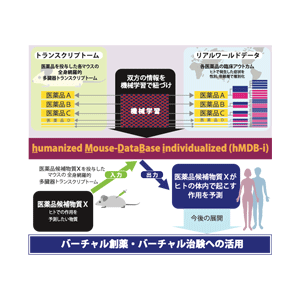 どんな薬のどんな副作用、効能でも予測できる人工知能（AI）を開発