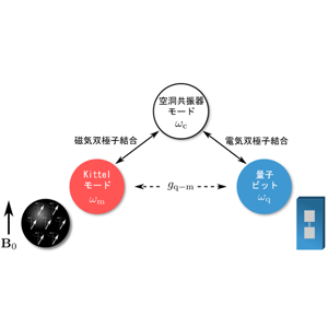 量子もつれを利用した単一マグノンの検出