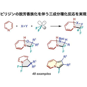インシリコスクリーニングを駆使した化学反応の新しい開発戦略 ～新規３成分反応によるフッ素化含窒素複素環骨格の合成に成功～