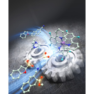 [Press] It Takes Two: cooperating catalysts provide new route for utilizing formate salts