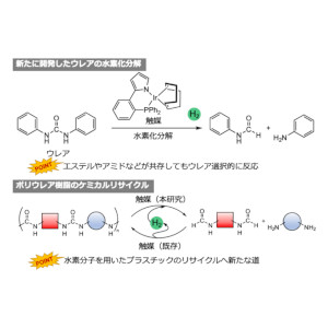 水素を用いたプラスチックのケミカルリサイクルへ新たな道 ― カルボニル化合物の反応性の序列を覆す新触媒 ―