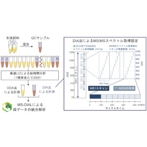 生体の脂質多様性をより短時間で解析する手法を開発 ～計測手法と情報処理技術の改良で大規模解析研究を加速～