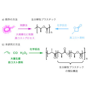 「主鎖編集」により微生物で分解するプラスチック合成へ新たな道～プロピレンと一酸化炭素と過酸化水素から合成～