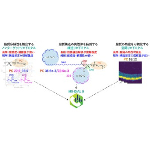 複雑かつ多様な脂質代謝を解明する情報解析プログラム ーマルチモーダル質量分析により脂質構造と局在を紐解くー