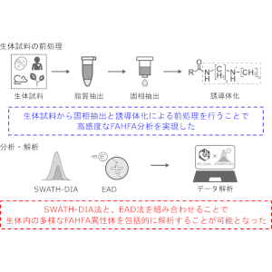 複雑な脂肪酸構造を解析する新技術を開発ー脂肪酸代謝の多様性を捉えるリピドミクスー