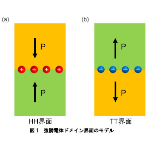 強誘電体界面の電荷分布直接観察に成功 ～強誘電体デバイスの理解と性能向上を加速～