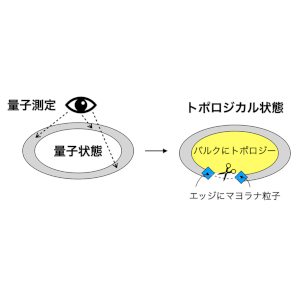 量子測定が誘起するトポロジカル相のバルクエッジ対応