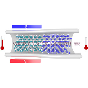 磁気冷凍材料の冷却能力と安定性を両立する材料設計手法を確立～共有結合の精密制御により高効率・高持続性磁気冷凍材料を実現～