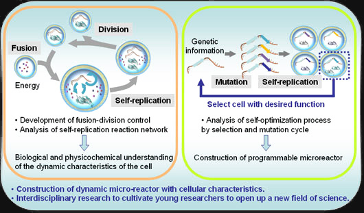 Outline of Research