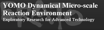 YOMO Dynamical Micro-scale Reaction Environment｜Exploratory Research for Advanced Technology