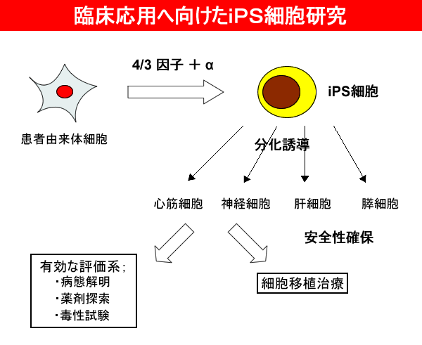 鉄系超伝導物質の結晶構造