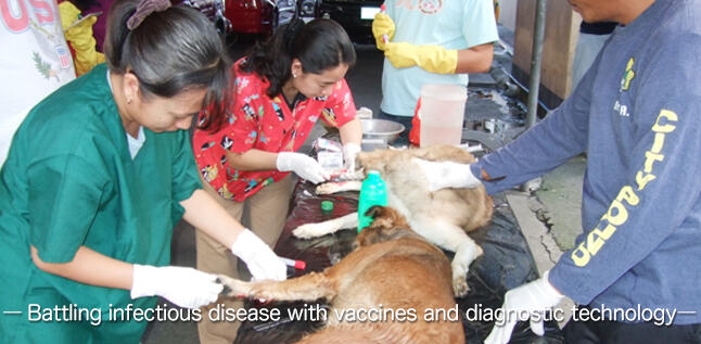 - Battling infectious disease with vaccines and diagnostic technology -