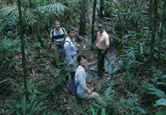 Forest Management Site of National Institute for Amazon Research (INPA) in Brazil. Working with the graduate students at INPA, researchers are studying topics such as soil water content along topographic gradients and fine root dynamics.