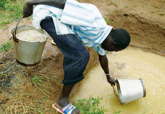 Drawing water in the vegetable fields. Human waste is converted into fertilizer and wastewater is reused in order to boost vegetable production and raise income levels.