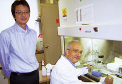 Laboratory of Molecular Epidemiology and Medical Mycology at the University of Campinas