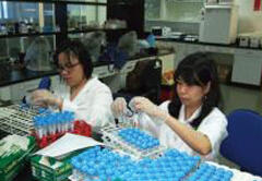 Project staff processing samples at the Philippine Carabao Center 