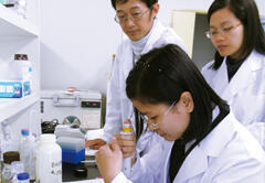 Visiting scientists from Vietnam conduct experiments for DNA extraction of rice