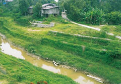 Middle reaches of Kelantan River: During flooding, water level rises to the floors of houses. Inundations take place in many areas along the Kelantan downstream. 